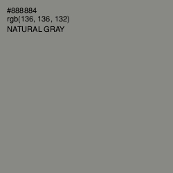 #888884 - Natural Gray Color Image